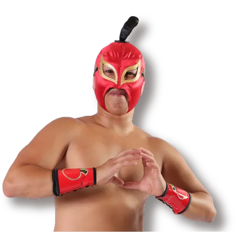 ◎レア◎みちのくプロレス◎1998.3.10大田区体育館大会パンフレット ◎レア◎みちのくプロレス◎1998.3.10大田区体育館大会パンフレット