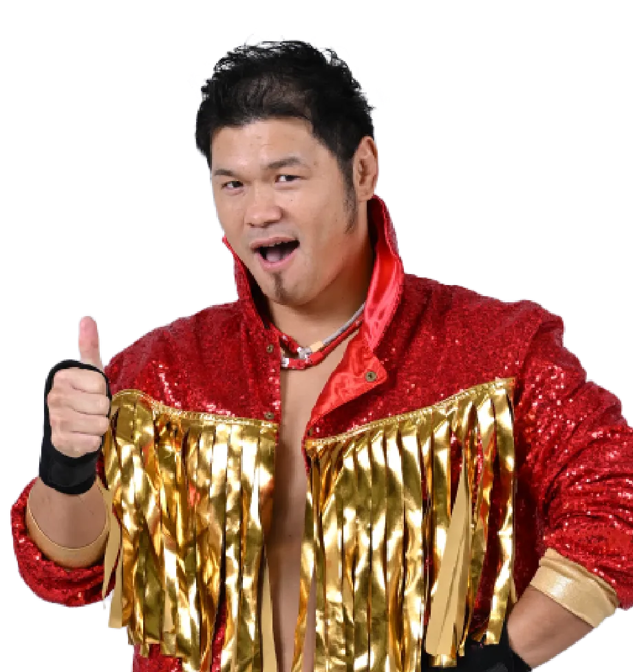 みちのくプロレス 日向寺塁 コスチューム みちプロ みちのくプロレス 日向寺塁選手 コスチューム みちプロ