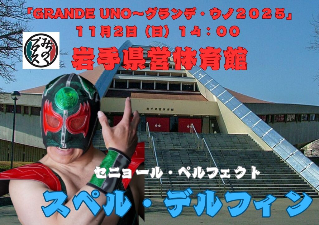 テーブルゲーム プロレス 引取限定 埼玉県熊谷市 テーブルゲーム